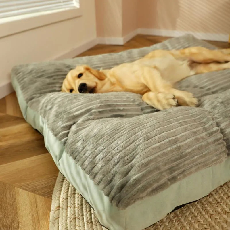 Letto Confortevole Per Cani – Supporto Ottimale E Riposo Sereno
