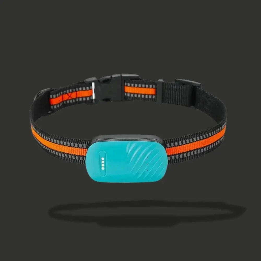 Collare GPS per gatti – Localizzazione e comfort quotidiano