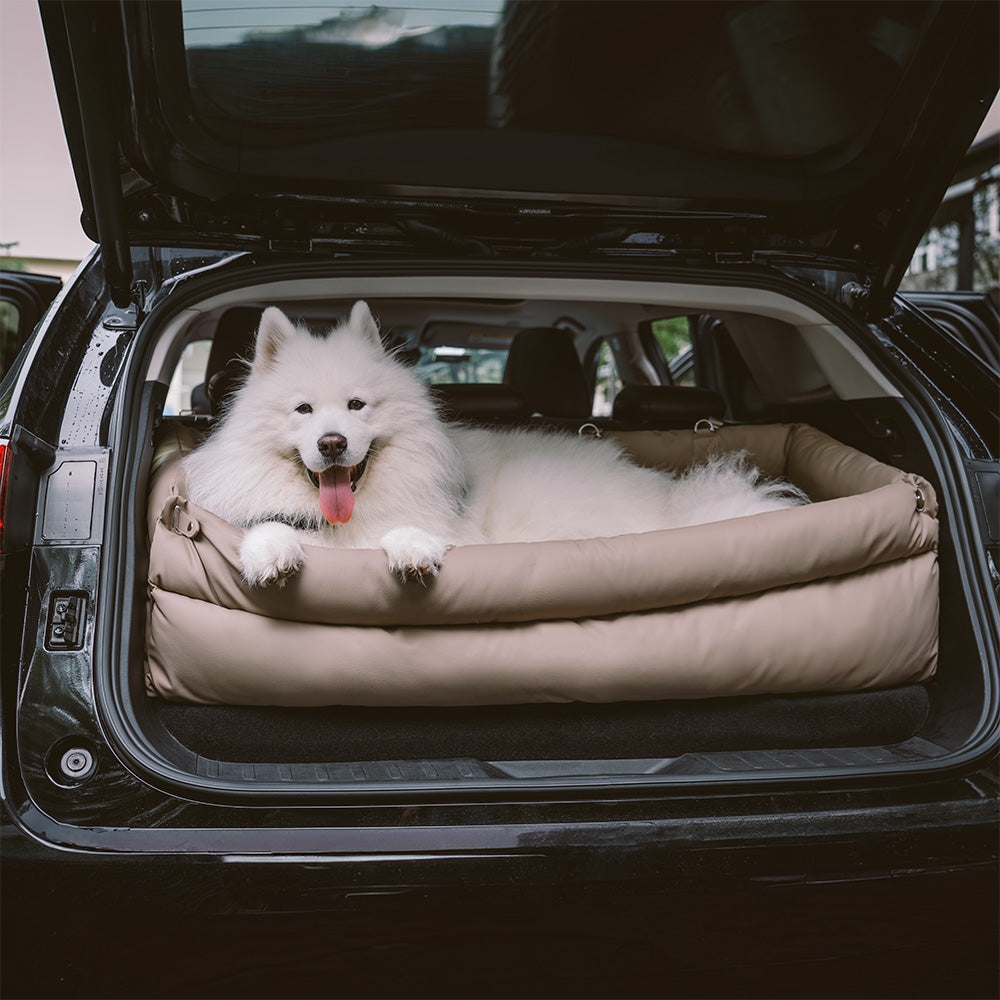 Cadeira de Auto para Cão – Conforto e Proteção