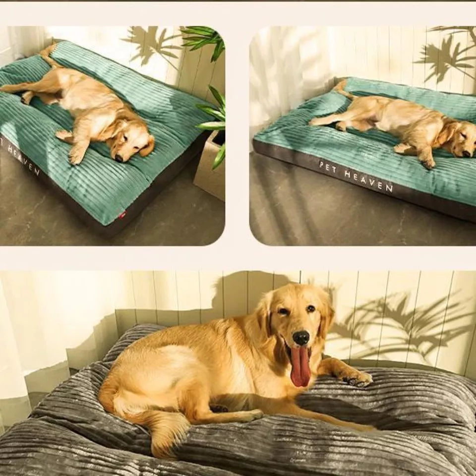Letto Confortevole Per Cani – Supporto Ottimale E Riposo Sereno