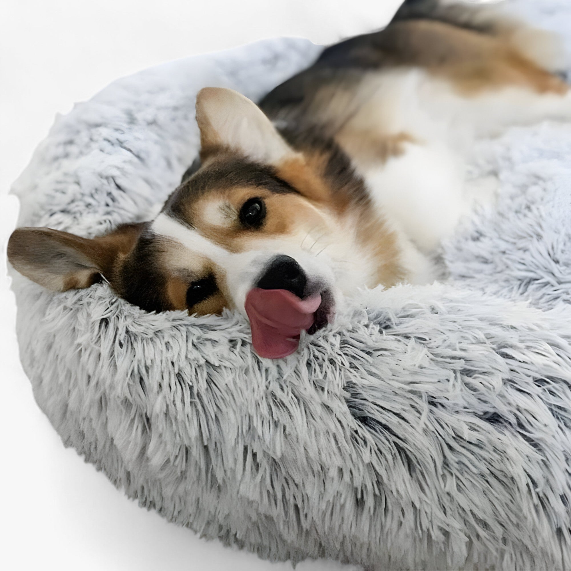 Megnyugtató Ágy Állatoknak – Kényelmes és Pihentető Alvás