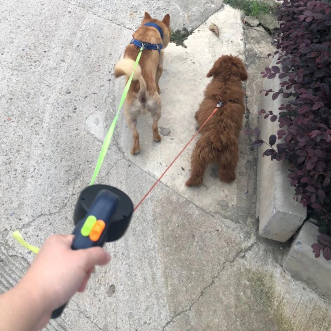 Guinzaglio Retrattile Per Cani – Con Luce LED E Distributore Di Sacchetti