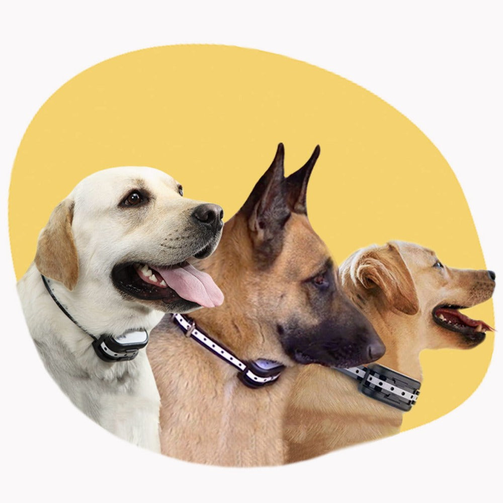 ワイヤレス電子フェンス - あなたの犬のための安全