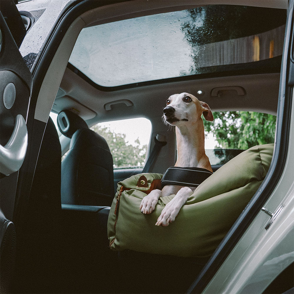Cadeira de Auto para Cão – Conforto e Proteção
