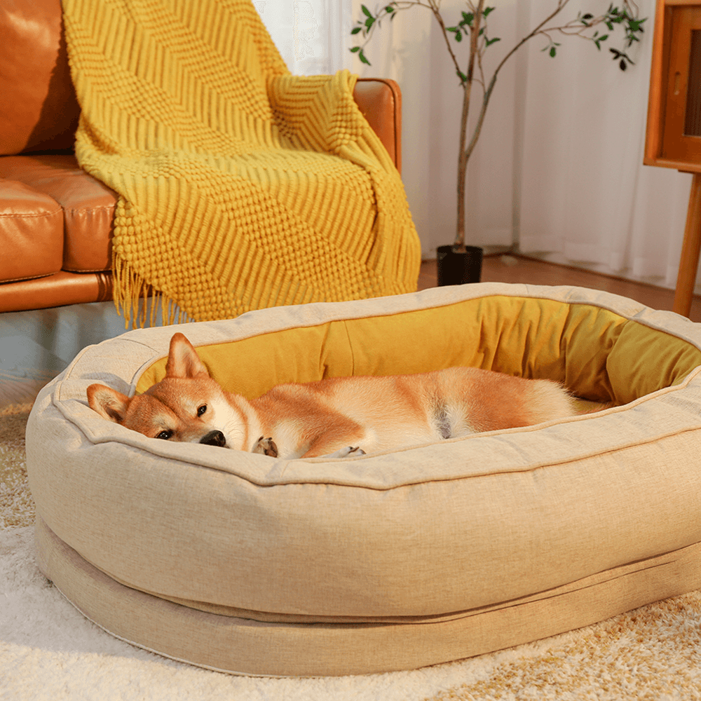 Hundeseng i Doughnut-form – Komfort og Mykhet