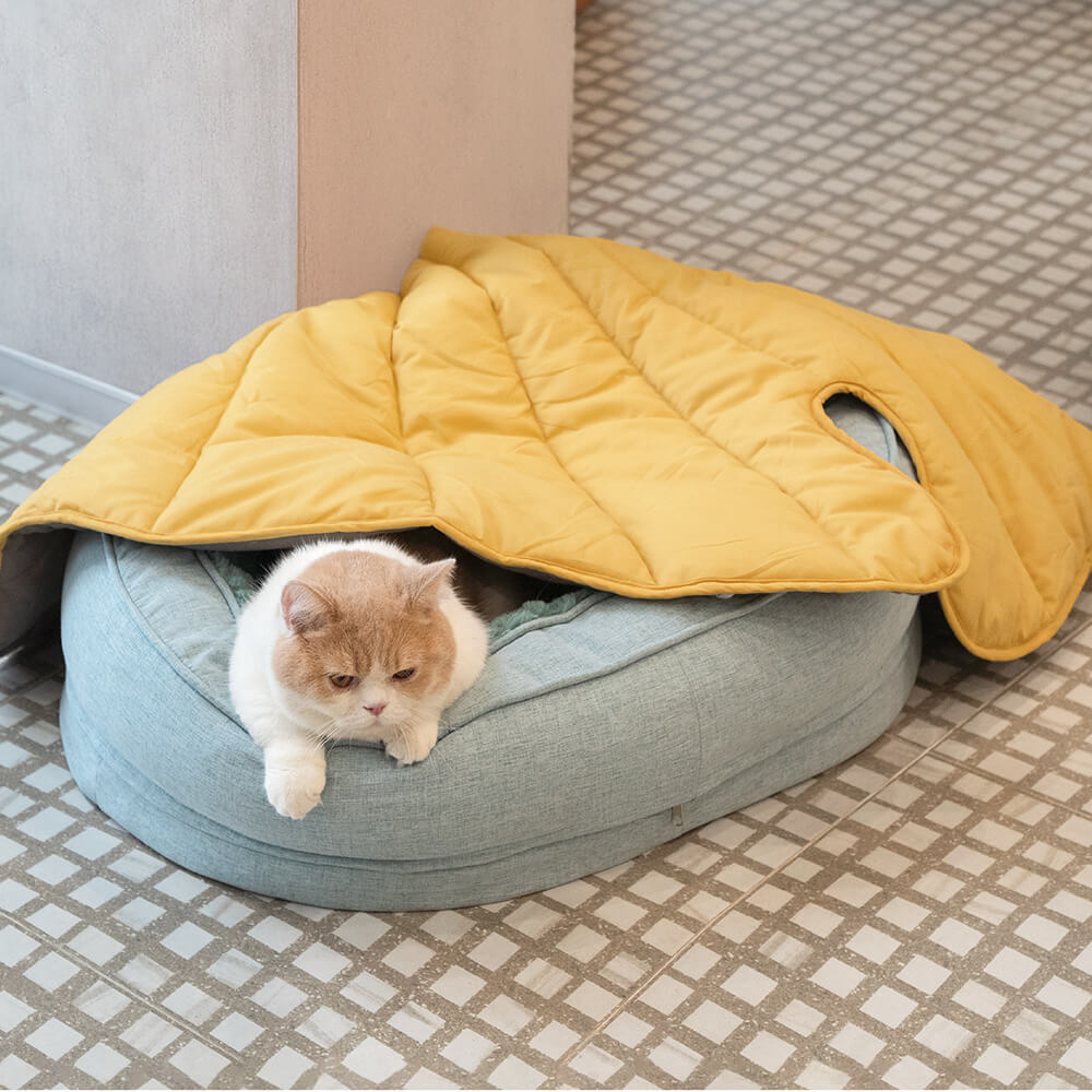 Hundeseng i Doughnut-form – Komfort og Mykhet