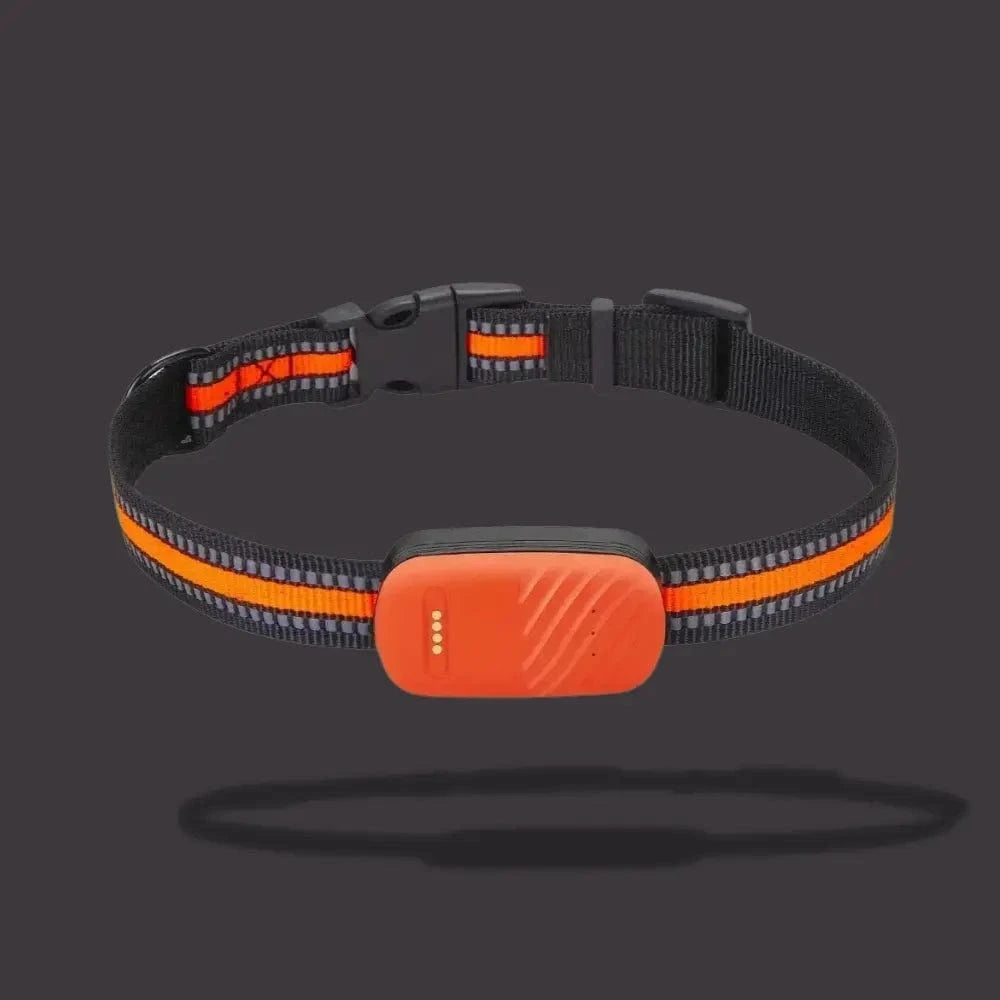 Collare GPS per gatti – Localizzazione e comfort quotidiano