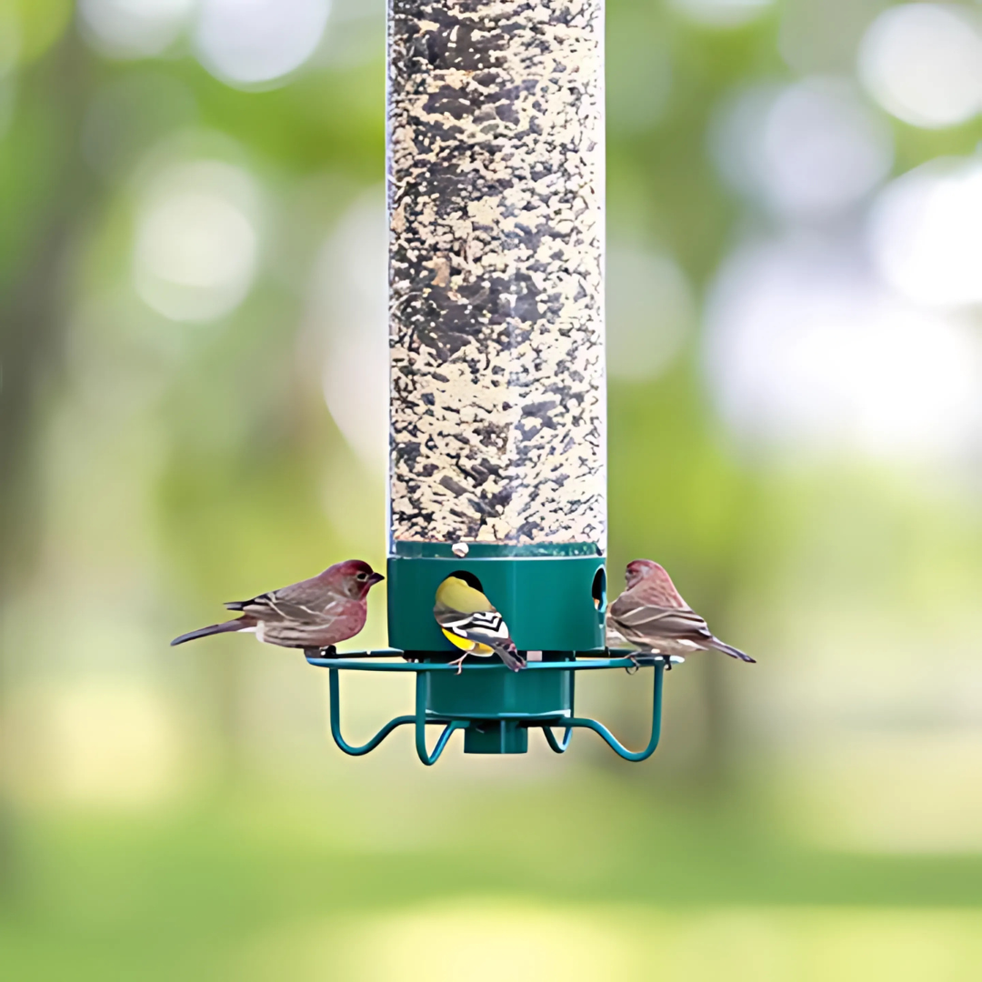 Hängendes Vogelhaus – Eichhörnchenschutz und einfache Befüllung