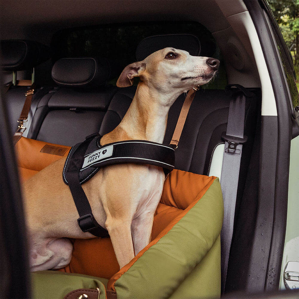Siège Auto Pour Chien – Confort Et Protection
