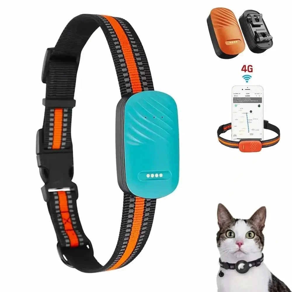GPS-spårningshalsband för katt – Lokalisering och daglig komfort 