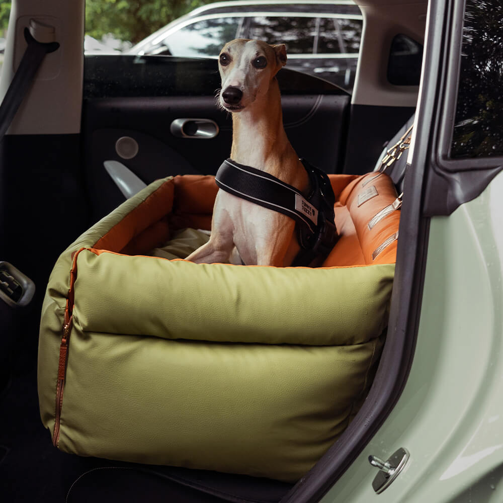 Siège Auto Pour Chien – Confort Et Protection