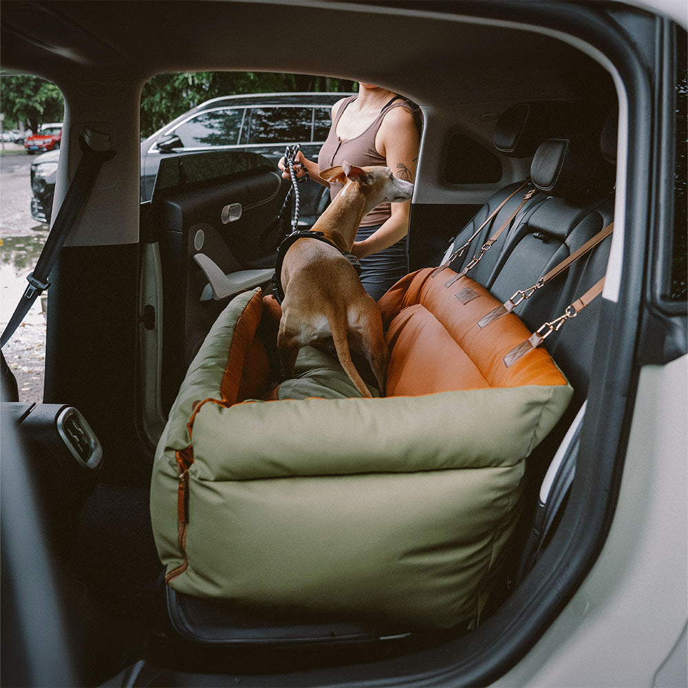 Siège Auto Pour Chien – Confort Et Protection