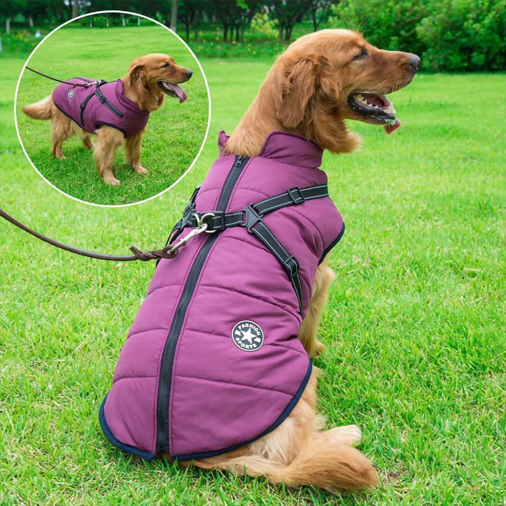 Vanntett Parkdress for Hund - Beskyttelse & Stil 