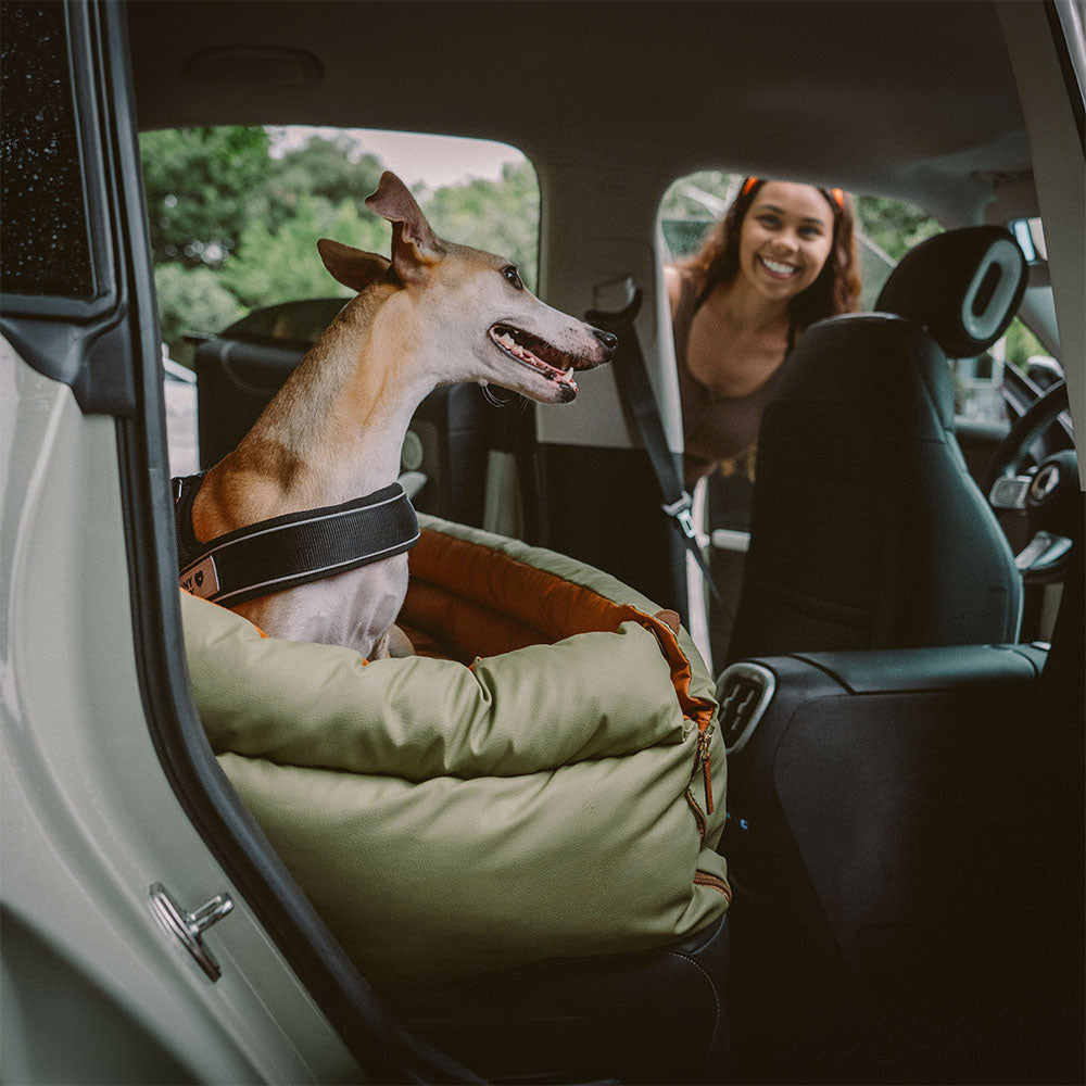 Siège Auto Pour Chien – Confort Et Protection