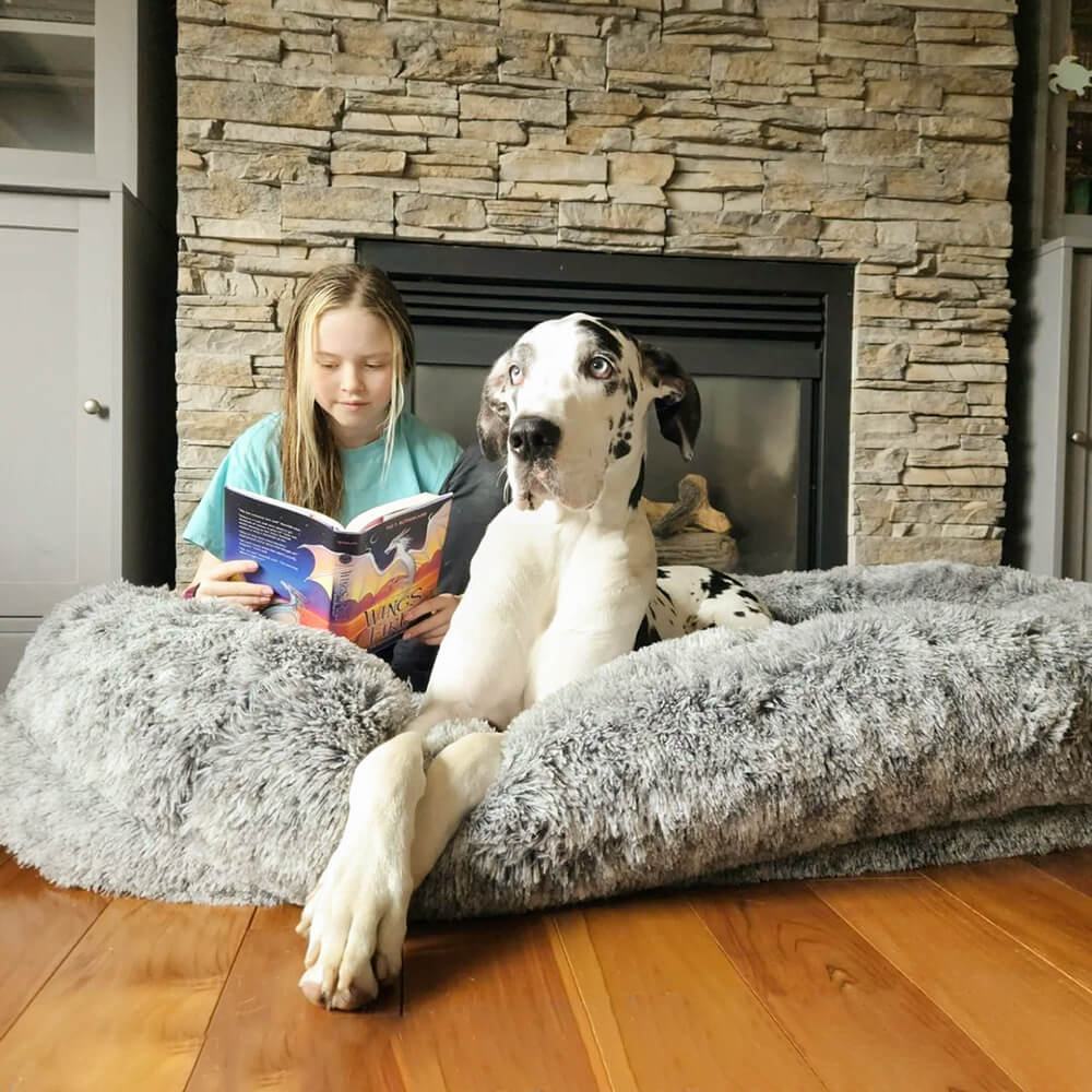 Dog Bed in Donut Shape – Comfort and Softness 