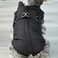Vanntett Parkdress for Hund - Beskyttelse & Stil 