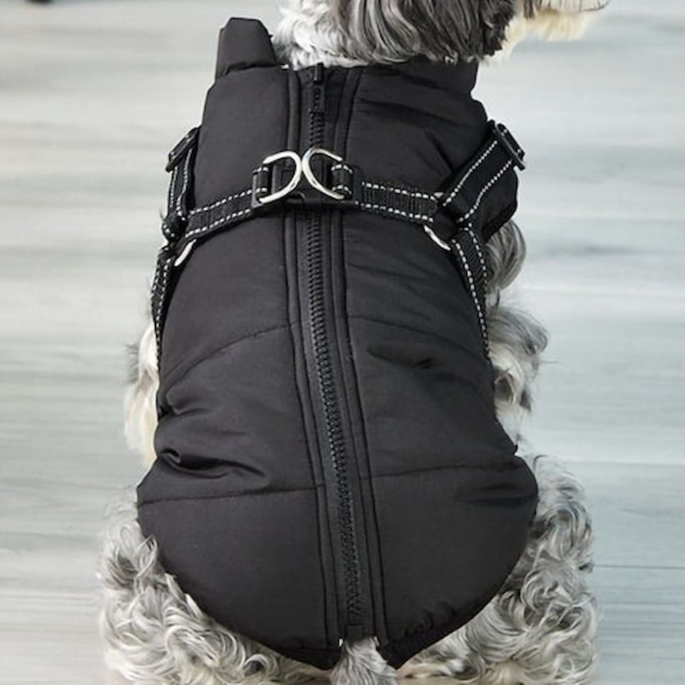 Vanntett Parkdress for Hund - Beskyttelse & Stil 
