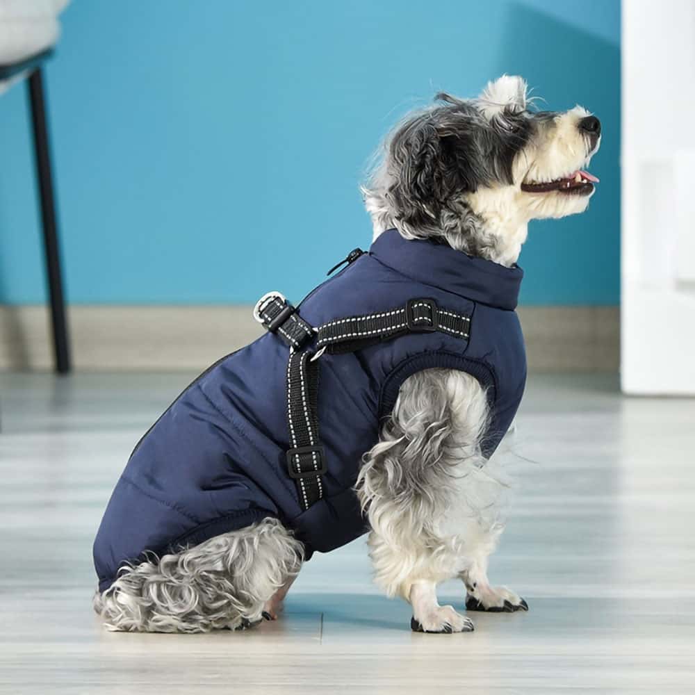 Vanntett Parkdress for Hund - Beskyttelse & Stil 