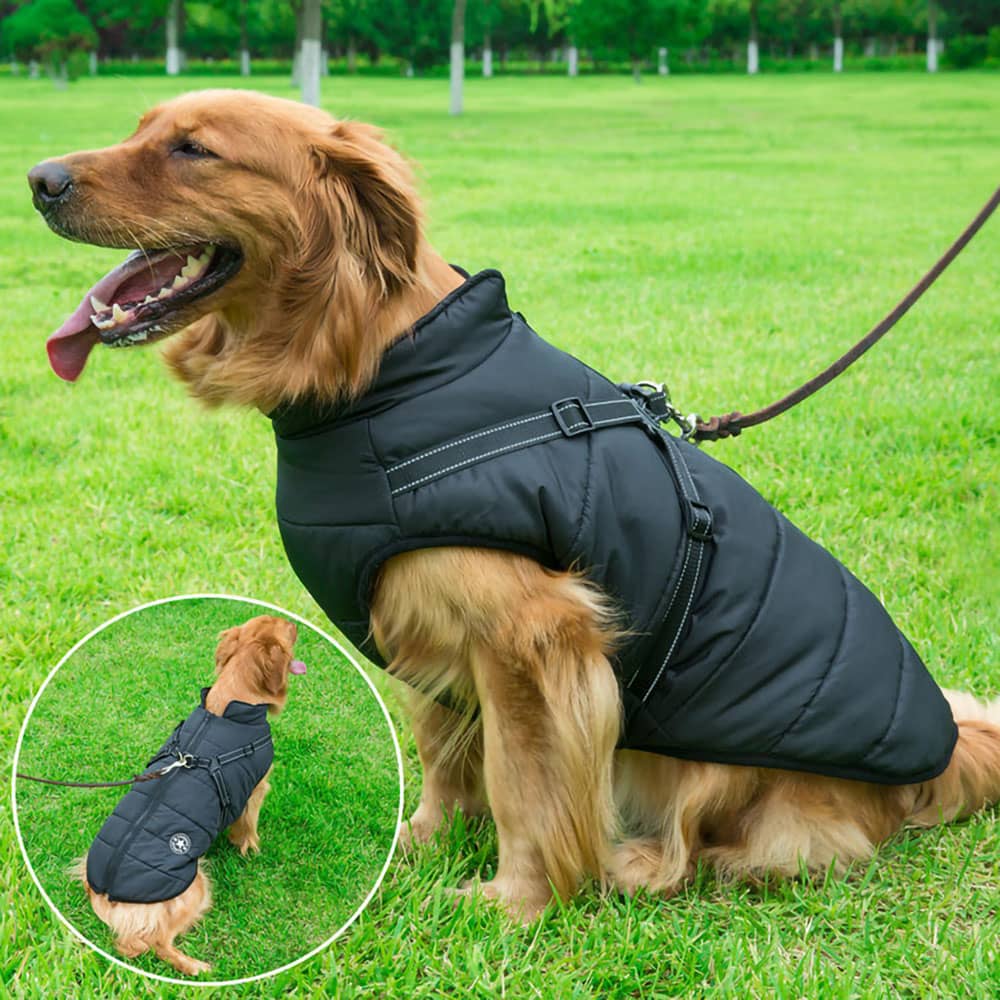Vanntett Parkdress for Hund - Beskyttelse & Stil 