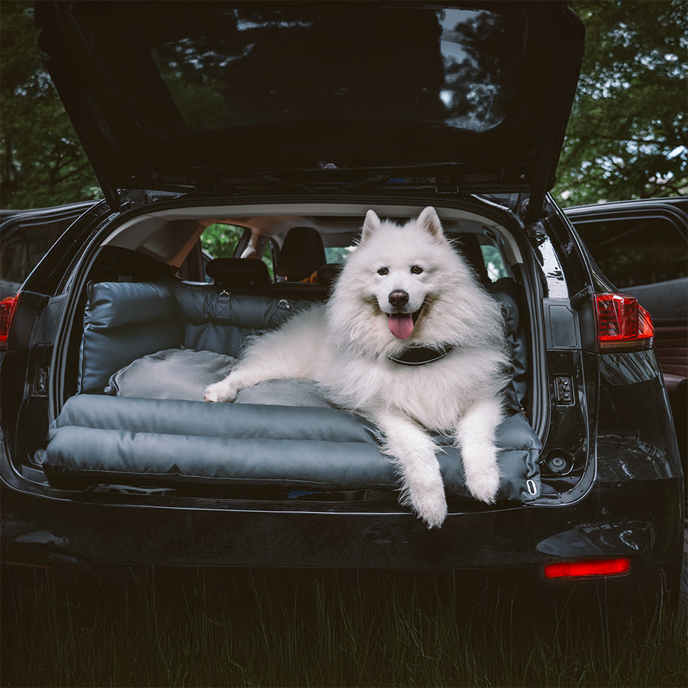 Siège Auto Pour Chien – Confort Et Protection