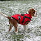Vanntett Parkdress for Hund - Beskyttelse & Stil 