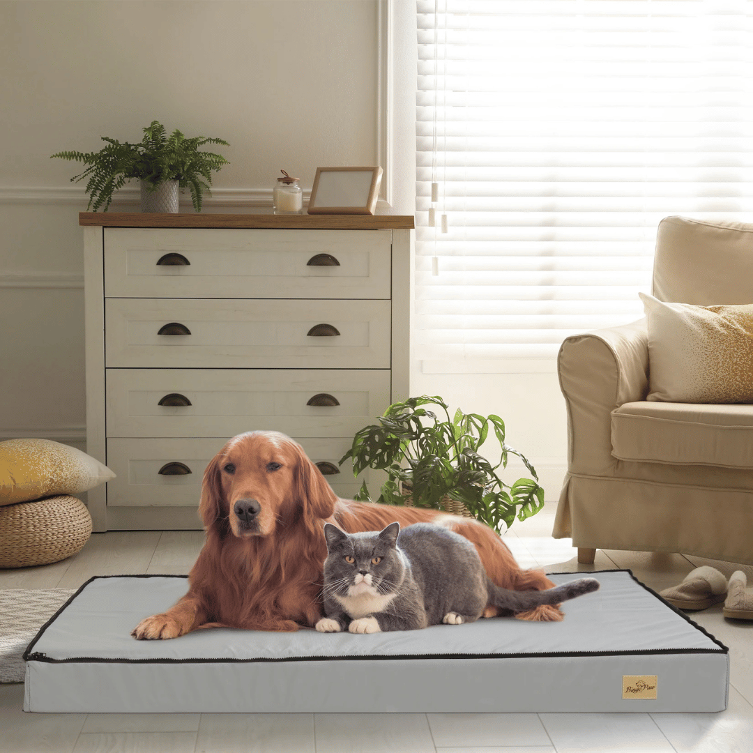 犬用快適ベッド  – 休息と回復に最適 