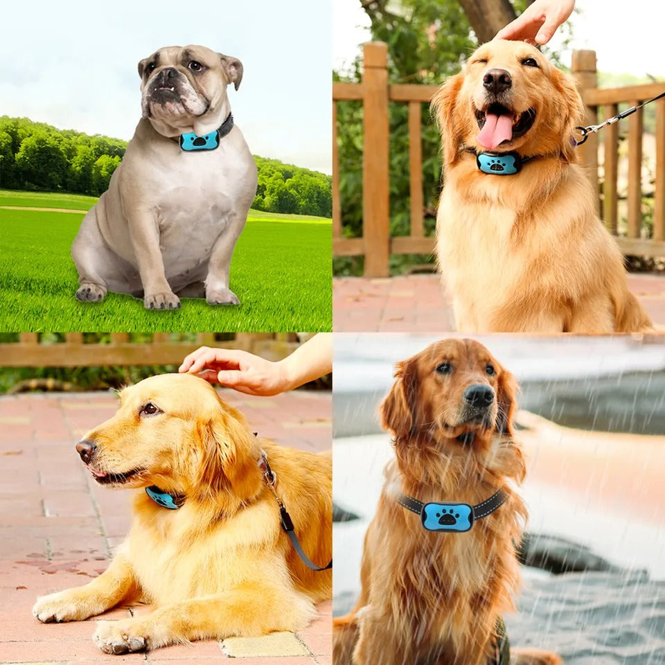 Anti-skällhalsband för hund — Mjuk och effektiv träning 